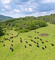 „Ochrana zdraví zvířat a péče o jejich pohodu“