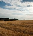 „Nové dotační možnosti v agrárním sektoru v rámci Strategického plánu Společné zemědělské politiky na období 2023–2027"