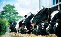 Odborný seminář na téma chov a výživa hospodářských zvířat