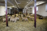 Putování po mini i maxi stopách úspěšných farem