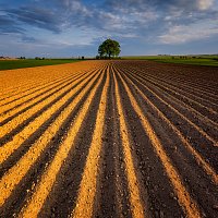 ZRUŠEN!!! Seminář „Dotační možnosti v agrárním sektoru“ - OAK Tábor
